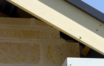 soffit repair Cellarhead